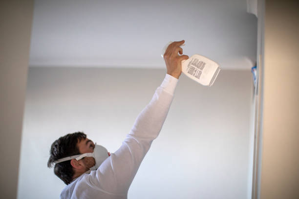 Certified Mold Removal in Richboro, PA