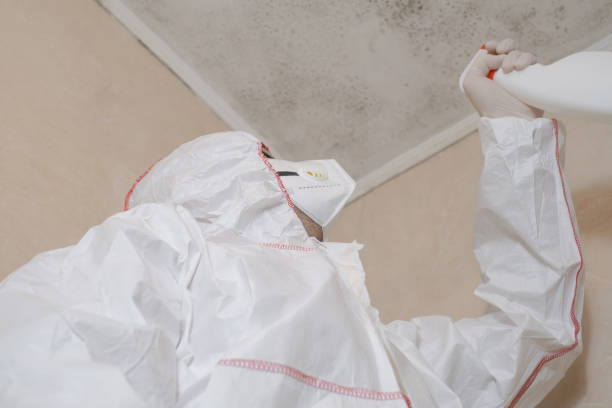 Best Mold Testing  in Richboro, PA